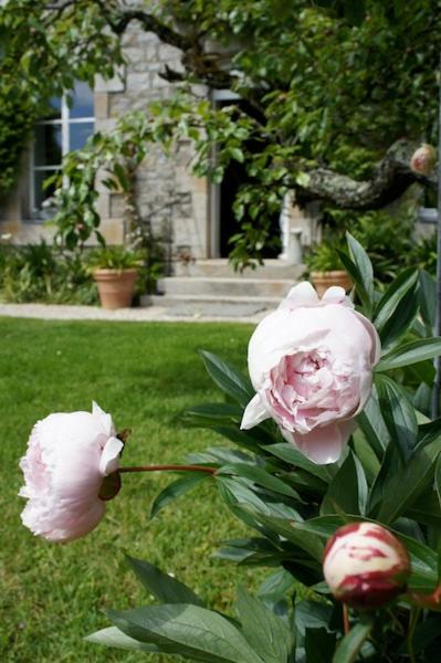 La Maison Les Mimosas Le Minihic-sur-Rance Экстерьер фото